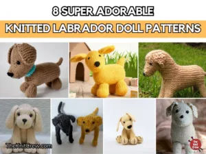 FB POSTER - 8 Super Adorable Knitted Labrador Doll Patterns - The Knit Crew